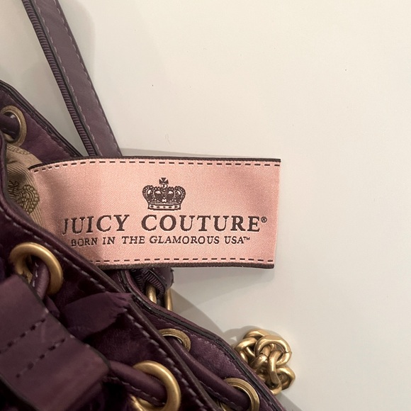 LIKE NEW Juicy Couture Silk Chiffon & Leather Pouchette Bag - Picture 10 of 12